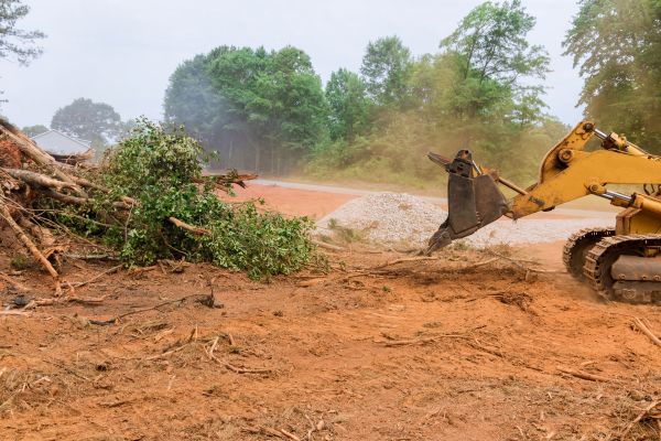 Ground Clearing in Wasilla
