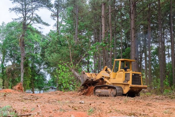 Trees Clearing in Wasilla