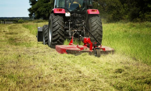 Brush Clearing Service in Wasilla