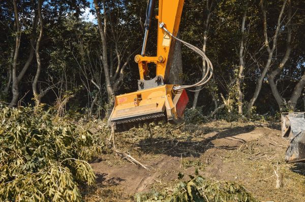 Brush Removal Service in Wasilla