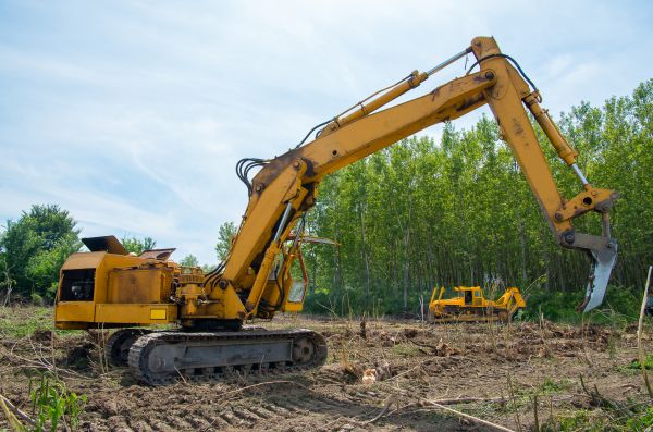 Cost of Farm Clearing in Wasilla