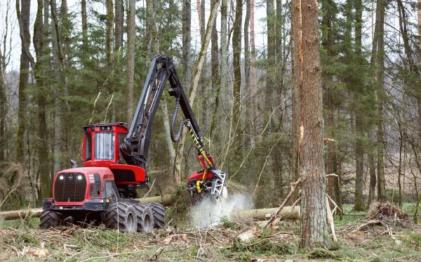 Cost of Forest Clearance Service in Wasilla