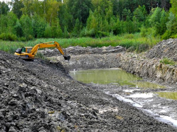Cost of Lake Lot Clearing in Wasilla