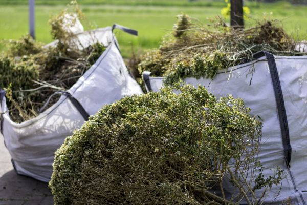 Bushes Clearing in Wasilla