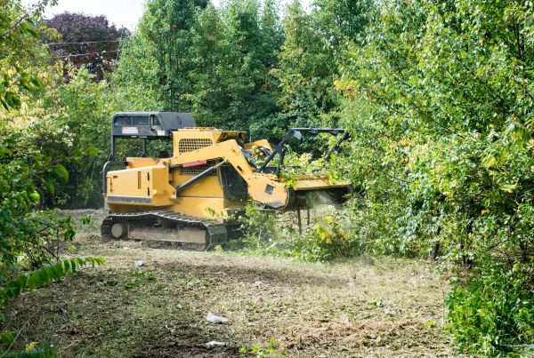 Cost of Pathway Clearing in Wasilla