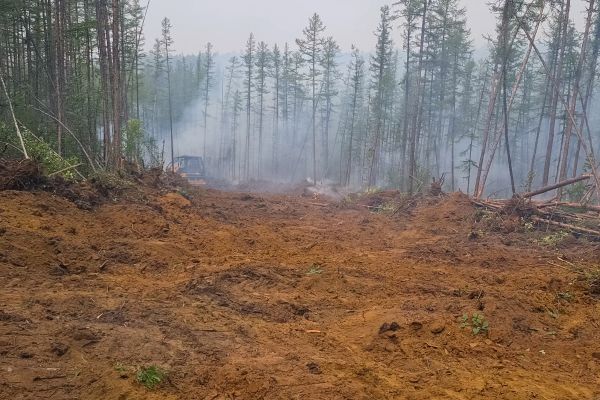 Cost of Hill Clearing in Wasilla