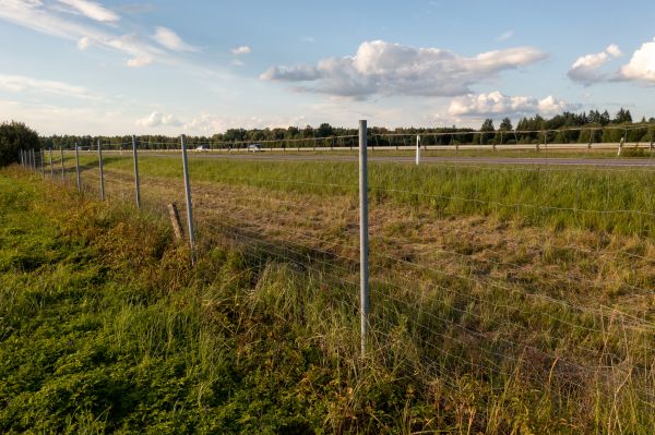 Cost of Property Line Clearing in Wasilla