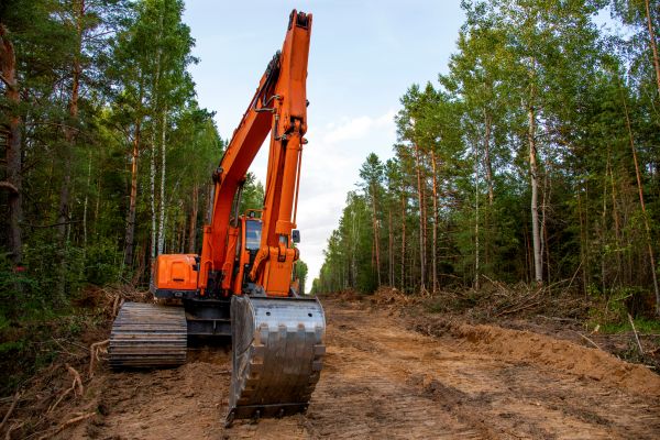 Cost of Backhoe Land Clearing in Wasilla