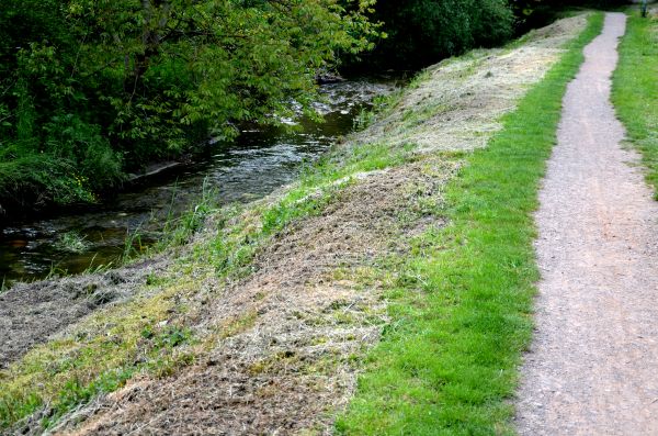Cost of Trail Cutting in Wasilla