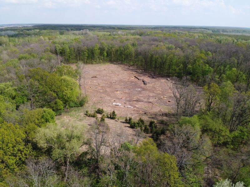 Land Clearing Permits
